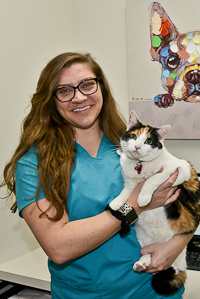 Bethel  Veterinary Assistant