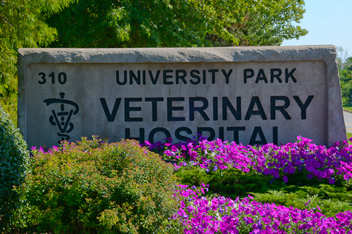 University Park Veterinary Hospital in Granger Indiana.  Veterinarians serving Michiana, South Bend, Mishawaka, Granger,  Elkhart Indiana.