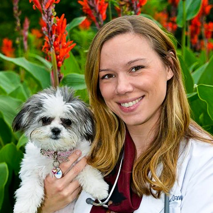 Dr. Samantha Dawson