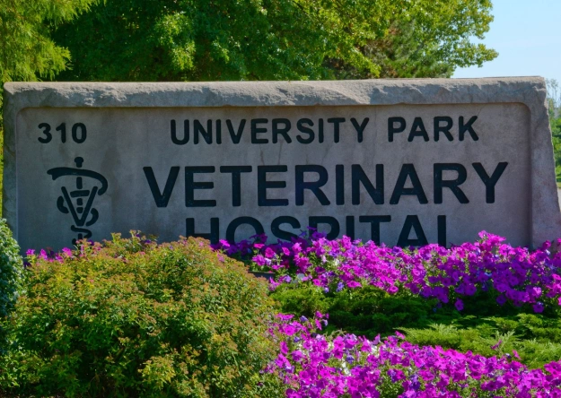 Reception area at University Park Veterinary Hospital