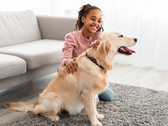 pet wellness care in Granger, IN